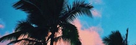 barbsdlm's profile banner image