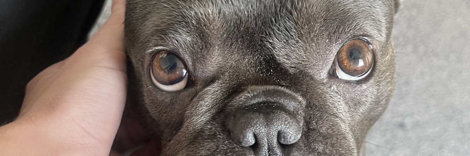 TiaTaylor12's profile banner image