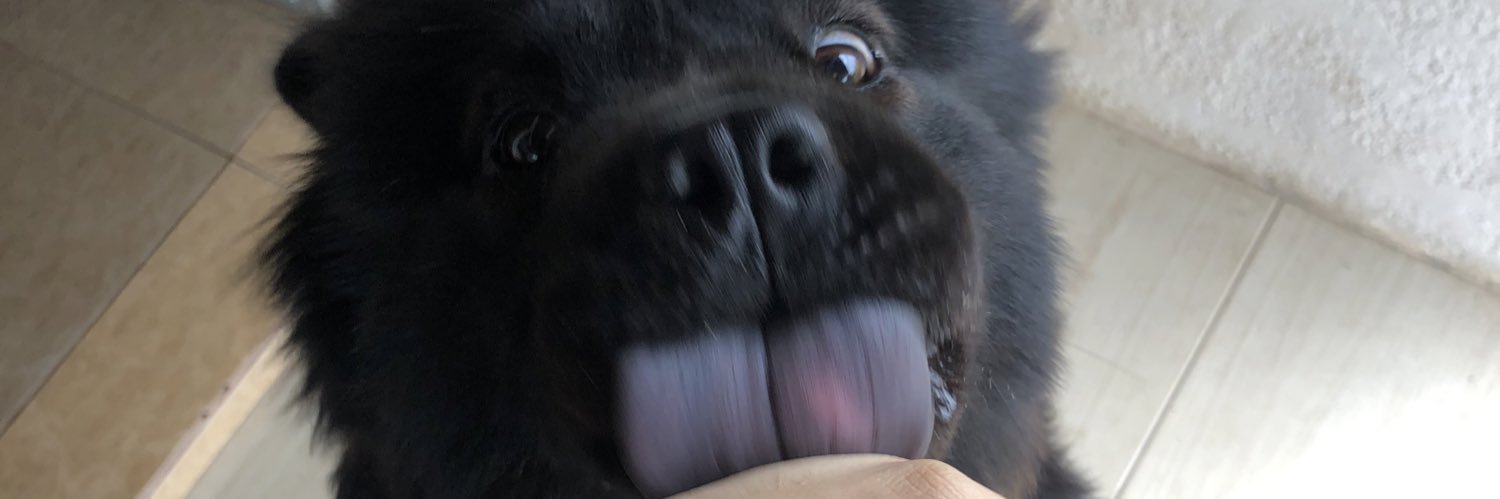 antomederospons's profile banner image