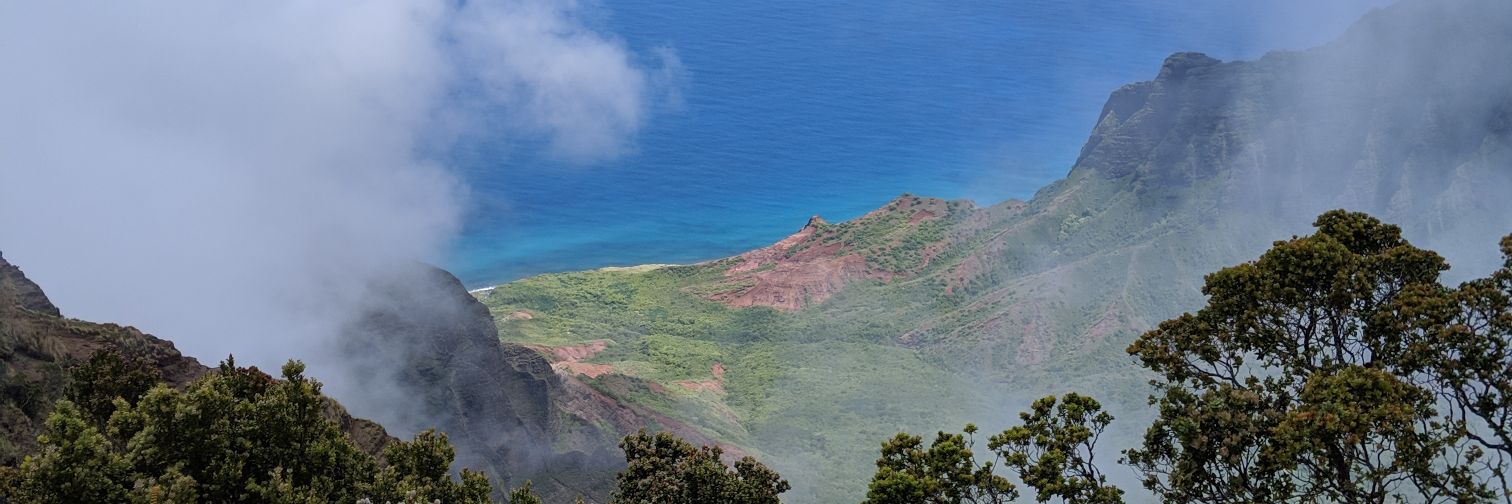 This is the place banner