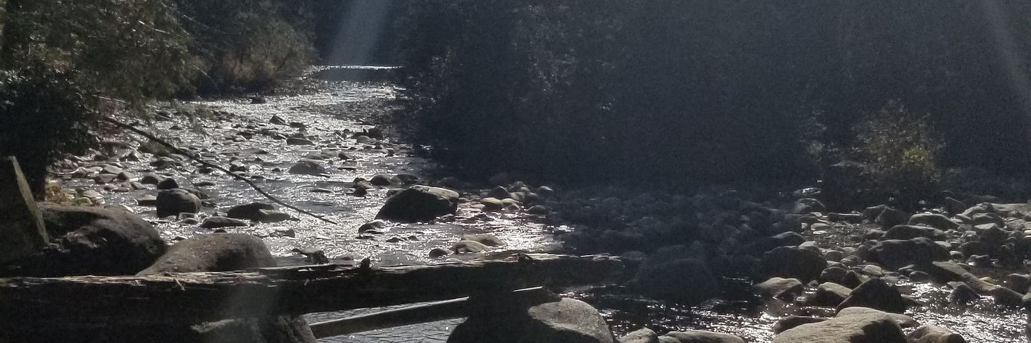Kurtis_Mayne's profile banner image