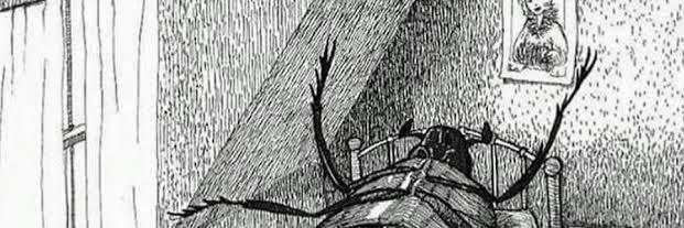 zubualves's profile banner image