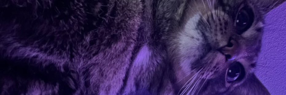 castletheme's profile banner image