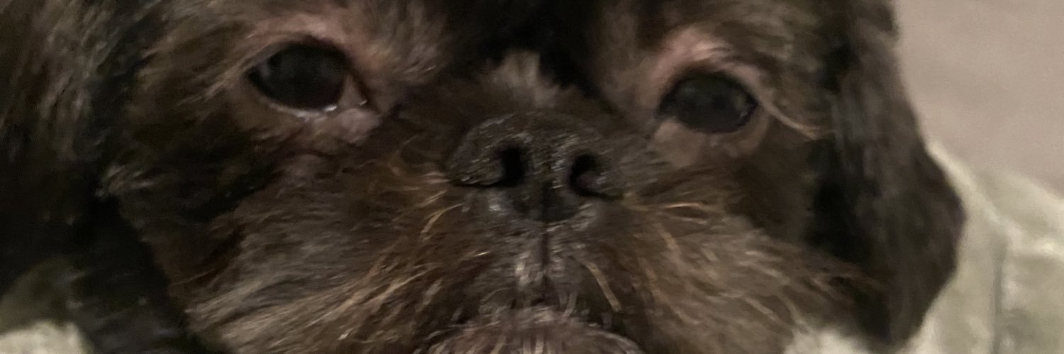 byehess's profile banner image