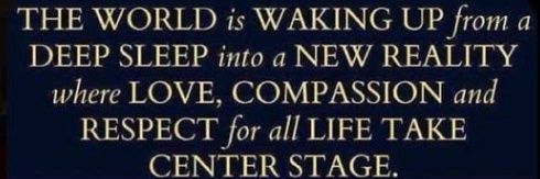 Denise S. banner