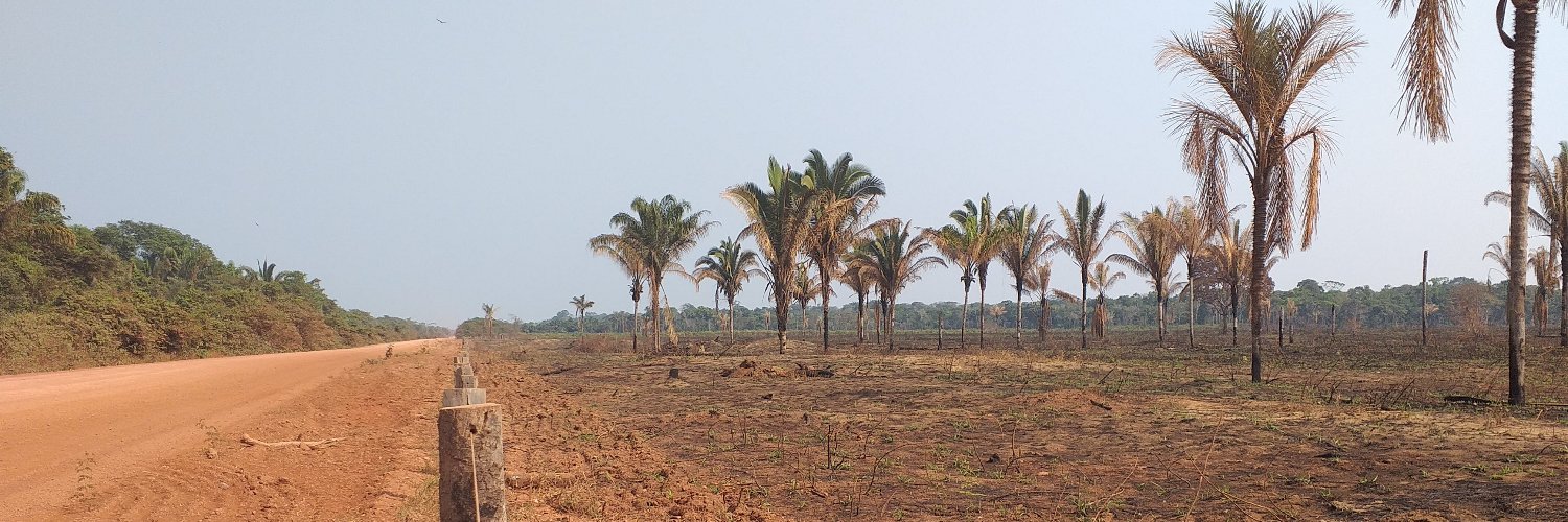 Fabio Teixeira banner