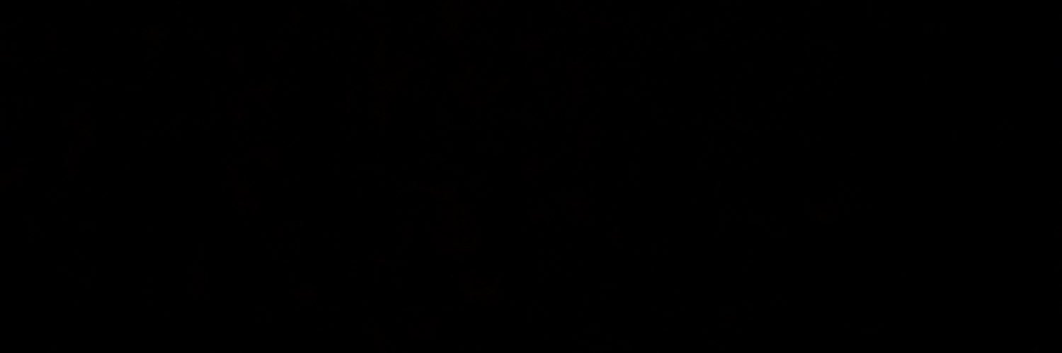 KoiNoHannah's profile banner image
