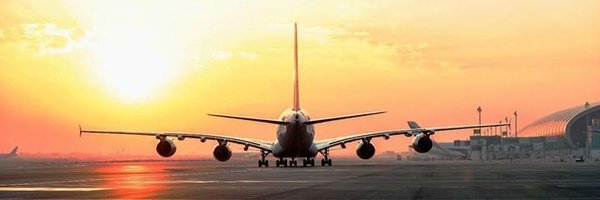 flypluna Profile Banner