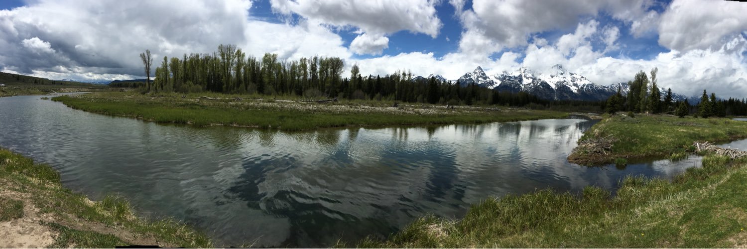 Kimberly Button banner