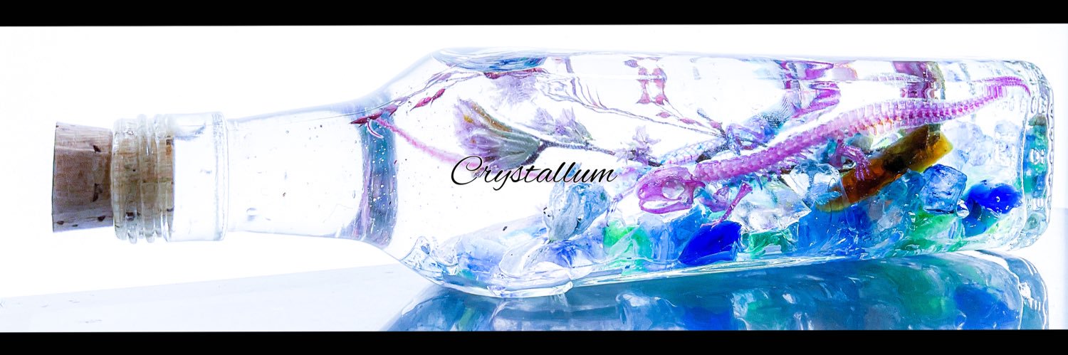 YTL_specimen's profile banner image