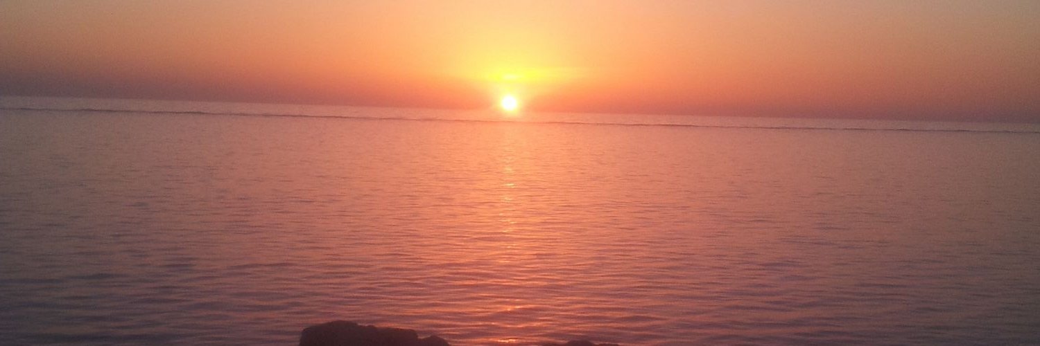 amalalsayed17's profile banner image