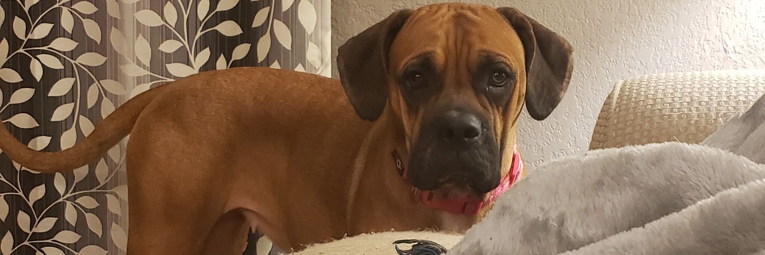 Tyrell🇺🇸 banner