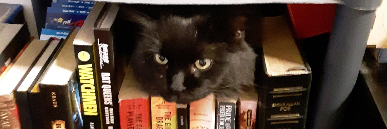 joaneees_'s profile banner image