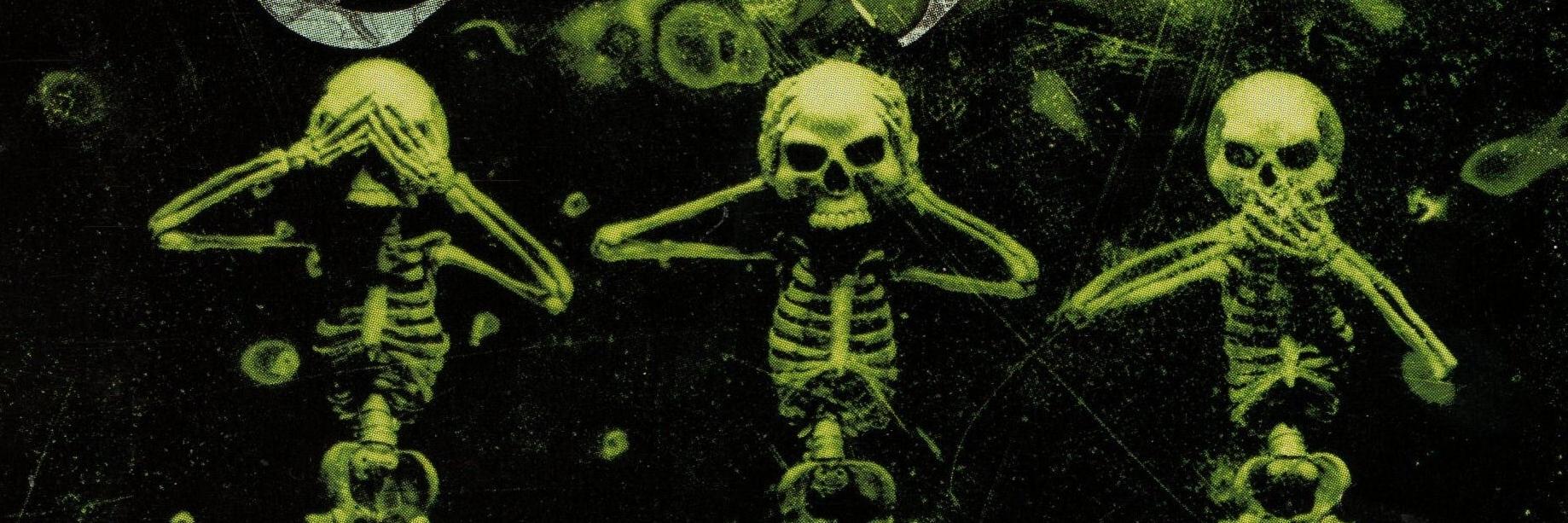 elchavule's profile banner image