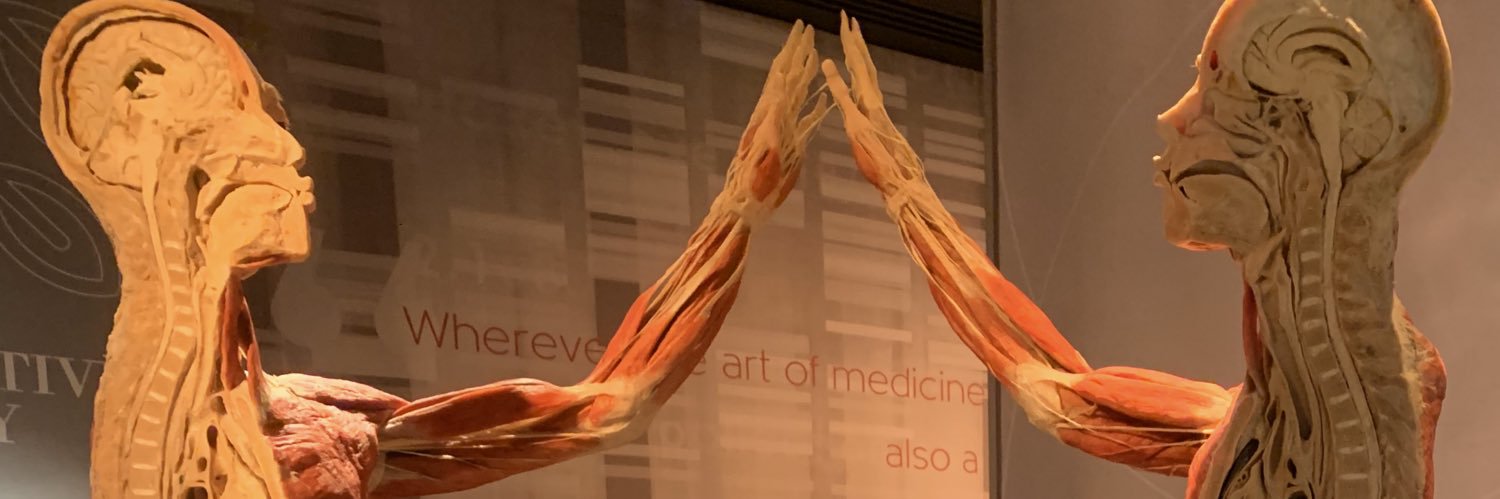 megsfromva's profile banner image