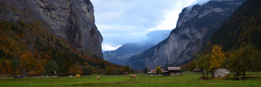 GearChase.com banner