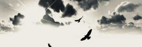 dream banner