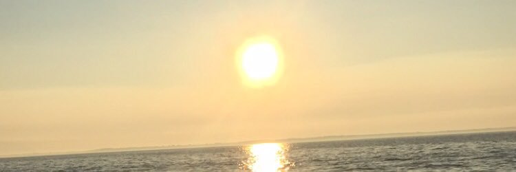 _daltonmartz's profile banner image