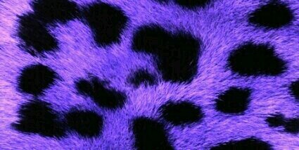 meganbommel's profile banner image