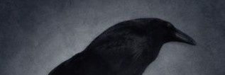 RocioGalan's profile banner image