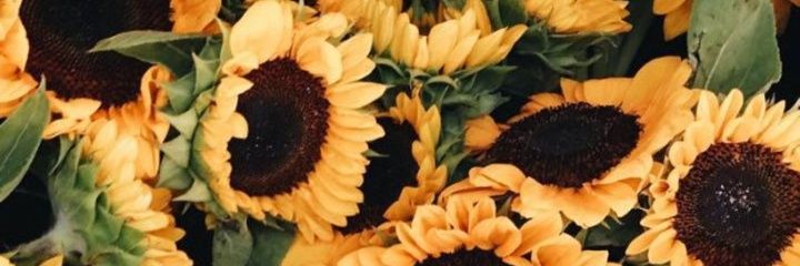 Martafrrn's profile banner image