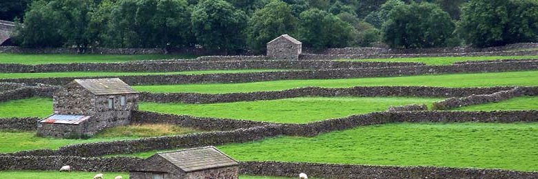 uoʇɹɐǝʞ ɯıɾ 🇳🇿 banner