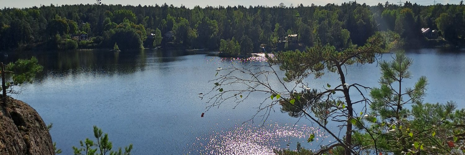 HalvardssonH's profile banner image
