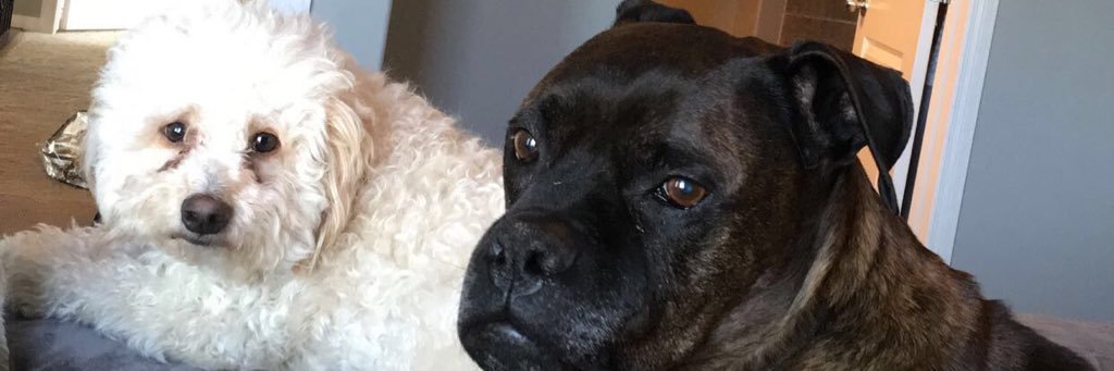 sarahmorter9's profile banner image