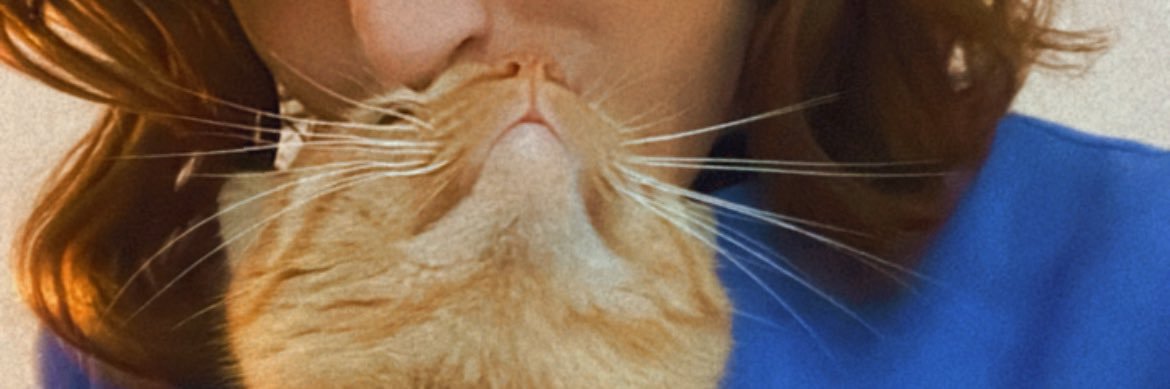 paulafdeziggy's profile banner image