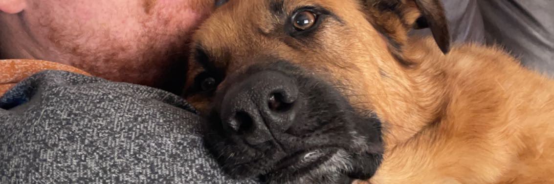 allyanda's profile banner image
