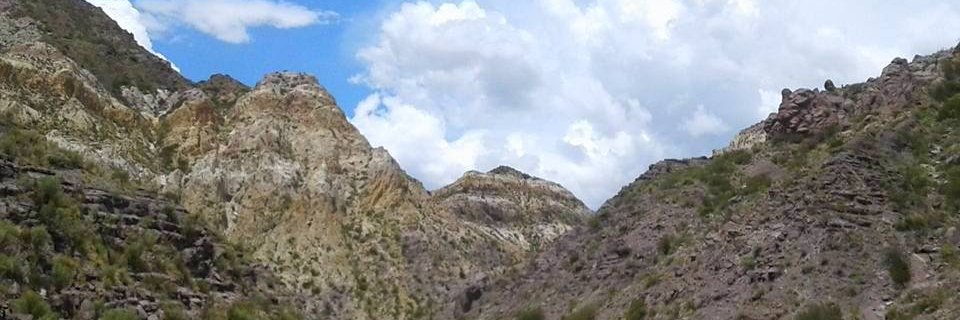 Camibuss's profile banner image