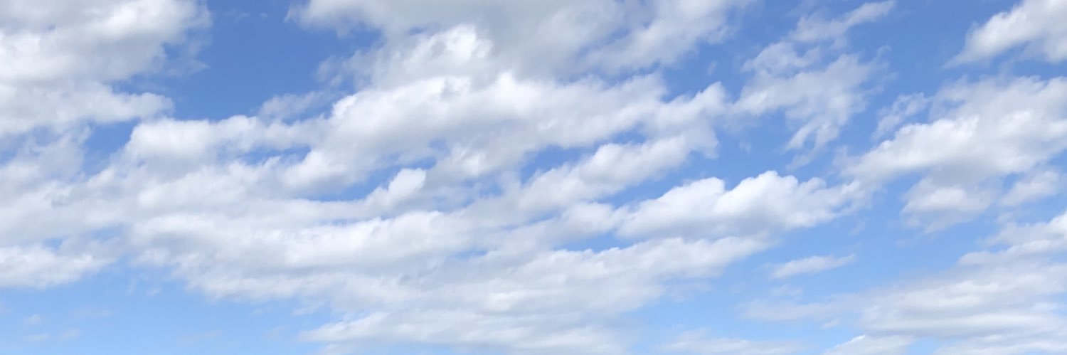 Robizzdoe's profile banner image