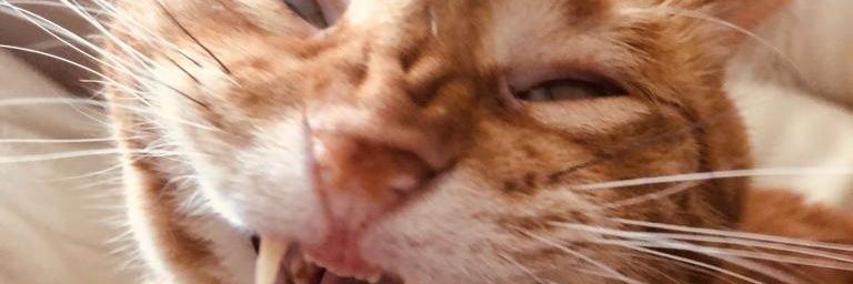 theheat_8's profile banner image