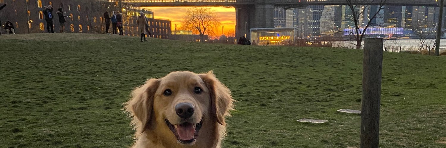 Emma_Roth's profile banner image