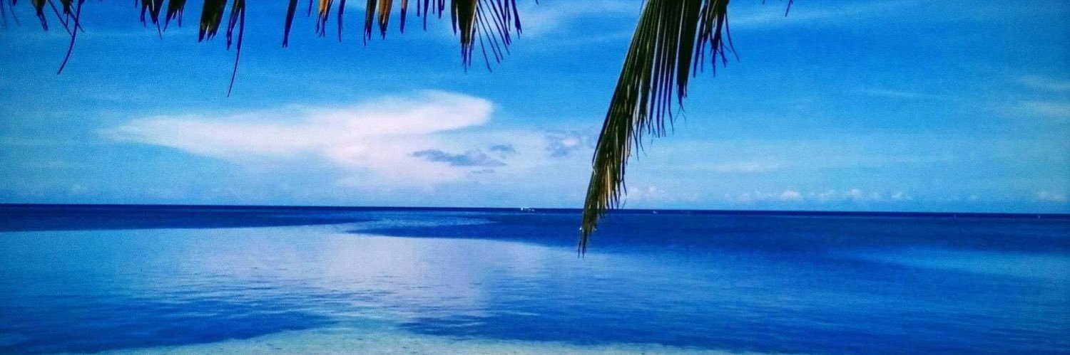 duh815's profile banner image