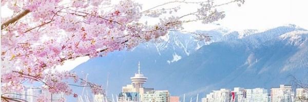 sugarbear365's profile banner image