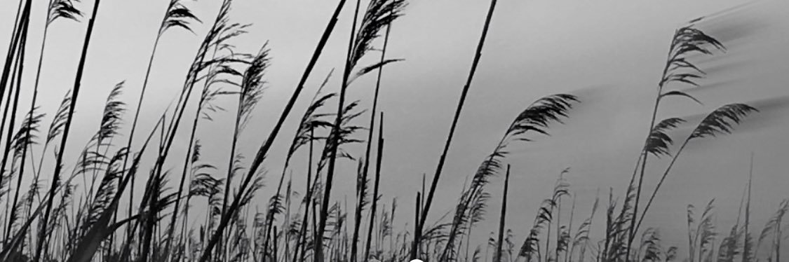 beafree's profile banner image
