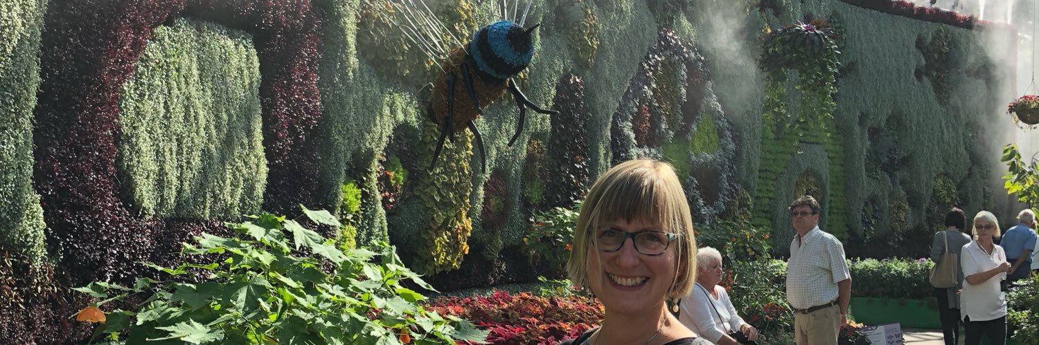 lizardventures's profile banner image