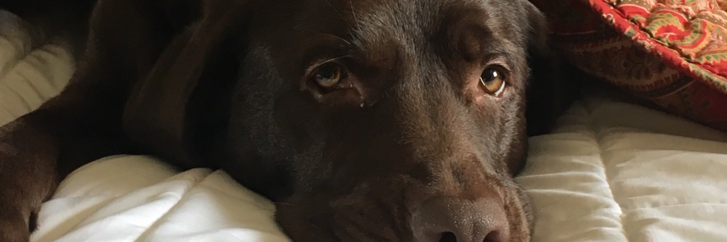 reecorc1968's profile banner image