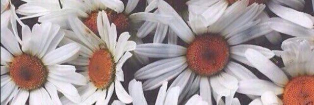 Cami_Alvarez24's profile banner image