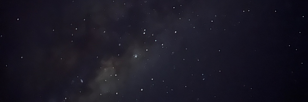 lallerana's profile banner image