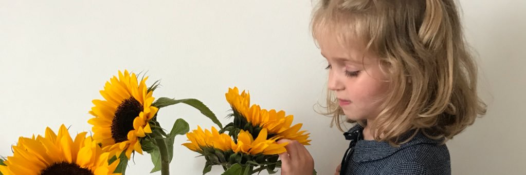 nicolehookk's profile banner image