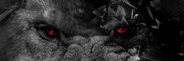 Cxlen_ Profile Banner