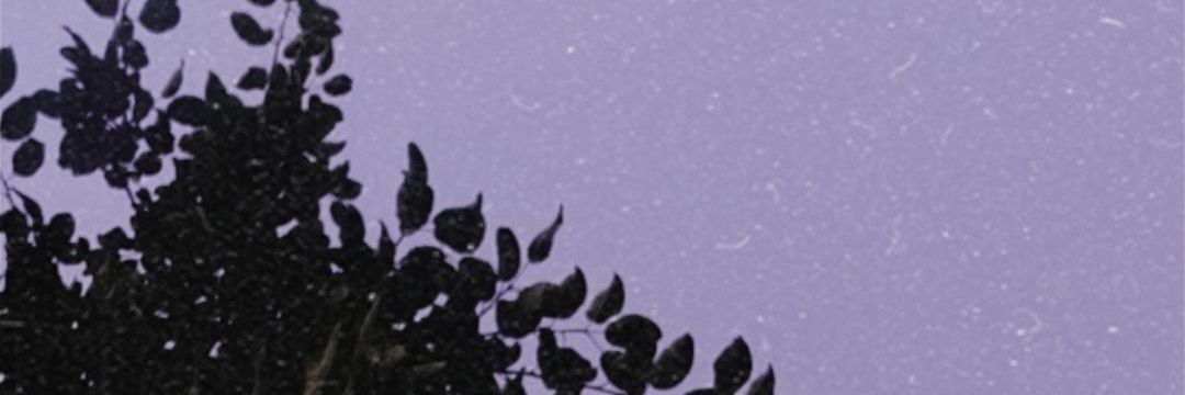 GemmaPrendeme's profile banner image