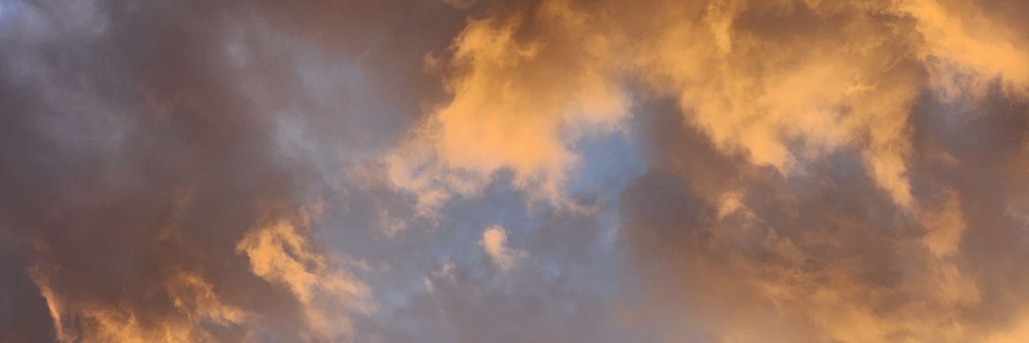 verom__'s profile banner image