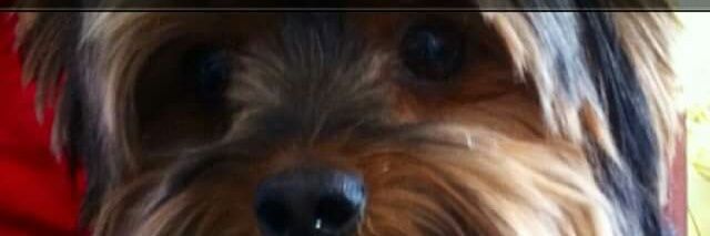 MistressWitch banner