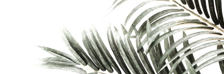 mcidtorres's profile banner image