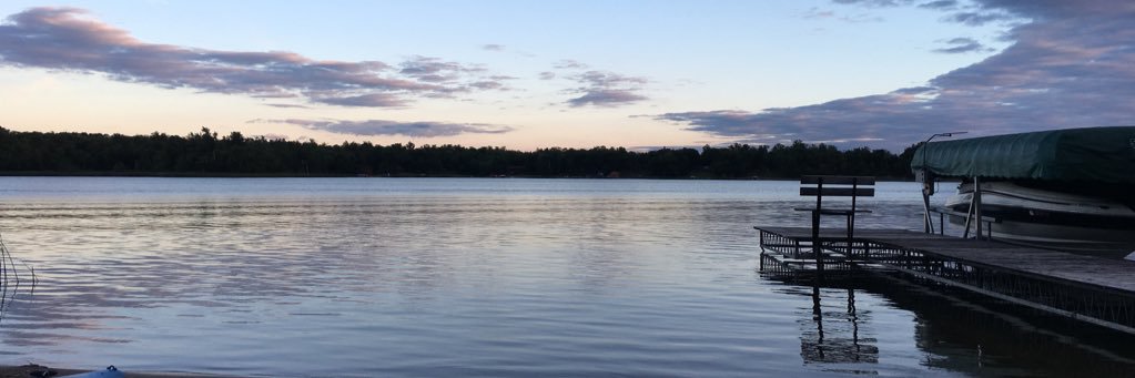 Andrea Travnicek banner