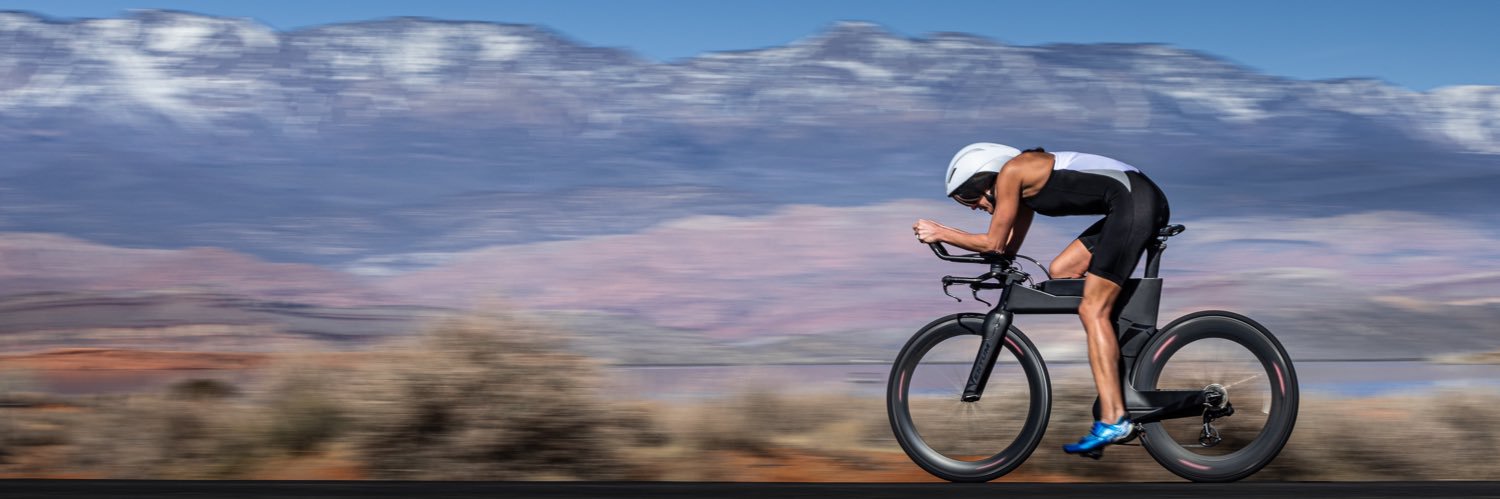 Lauren Brandon banner