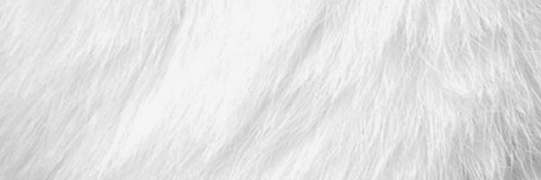 trapbarbie1017 Profile Banner